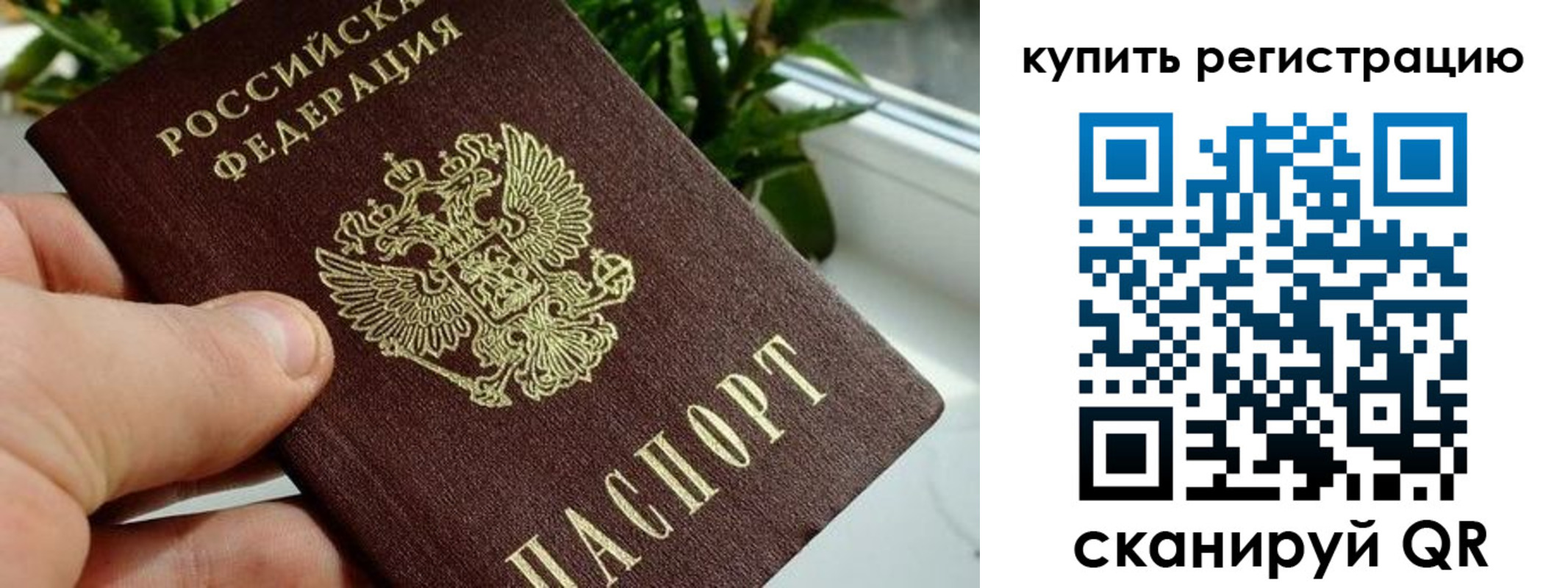 прописка гарантия в Вяземском